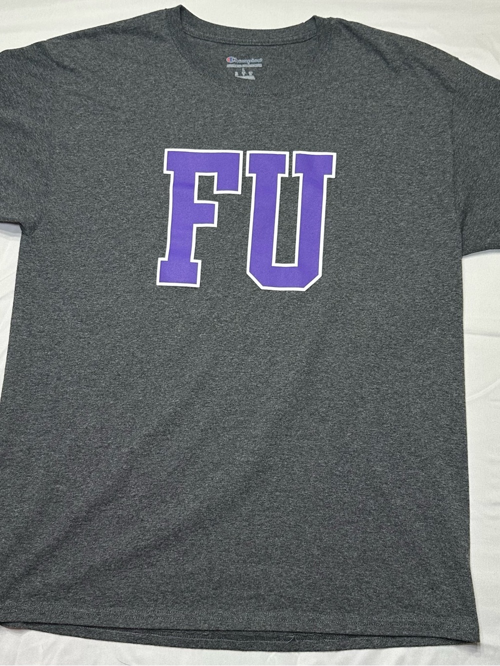 Champion Furman University FU Paladins T-Shirt Mens Large Gray